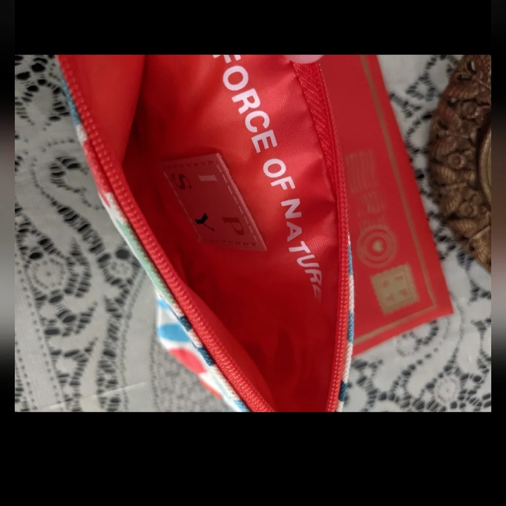 ipsy new seg